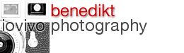 iovivo photography