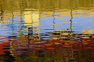 reflection