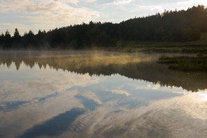 foggy morning