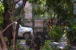 vientiane tropical garden