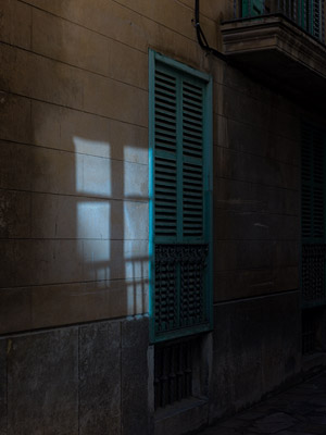 palma reflection