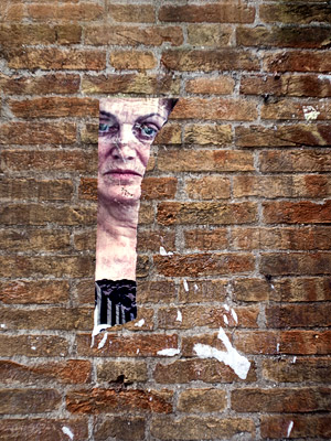venice face
